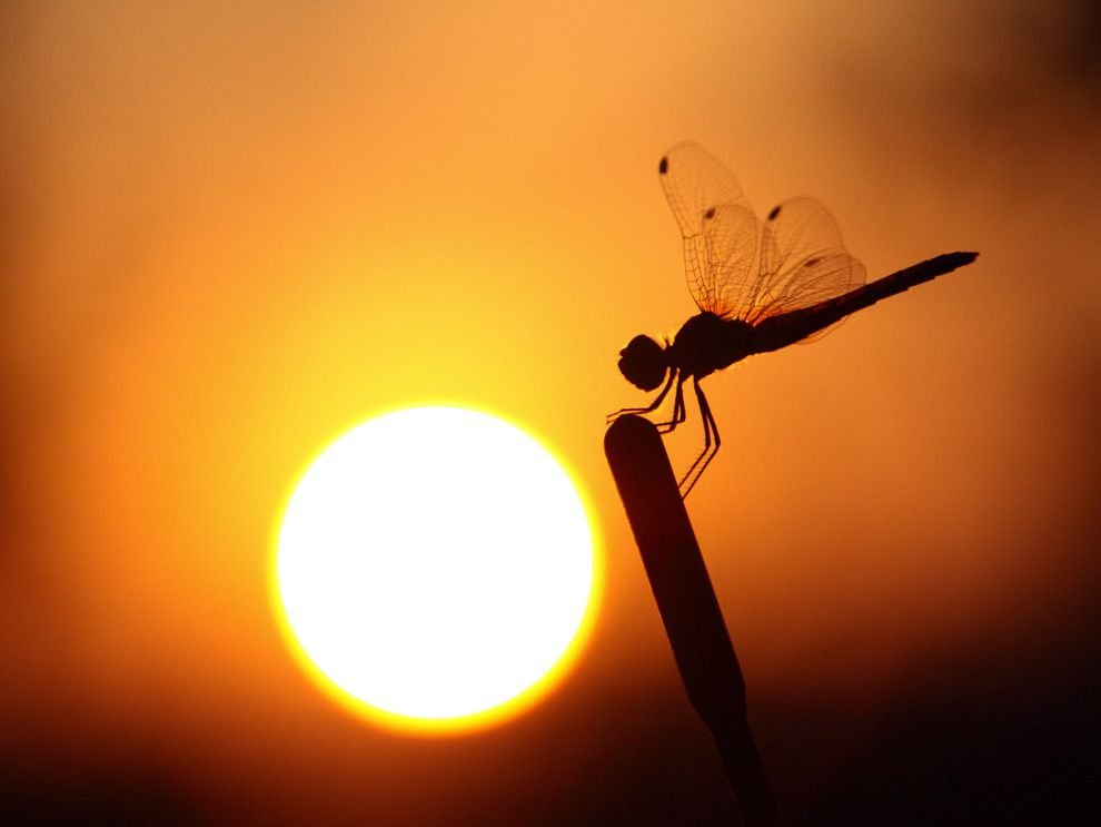 Sun and its influence on our lives