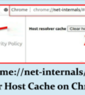 chrome net internals dns